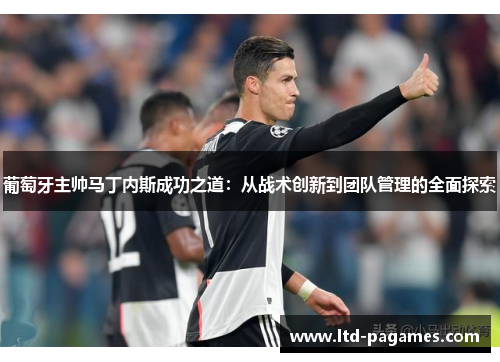 葡萄牙主帅马丁内斯成功之道：从战术创新到团队管理的全面探索