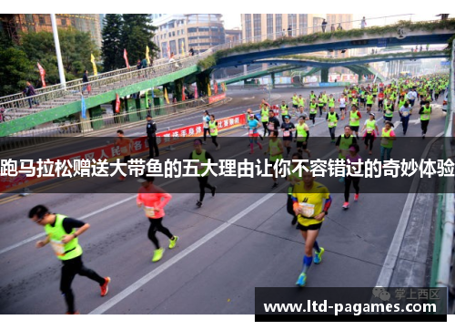 跑马拉松赠送大带鱼的五大理由让你不容错过的奇妙体验