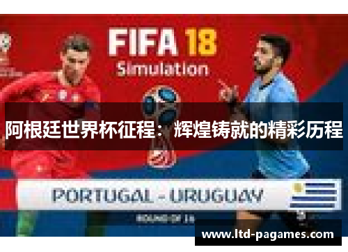 阿根廷世界杯征程:辉煌铸就的精彩历程