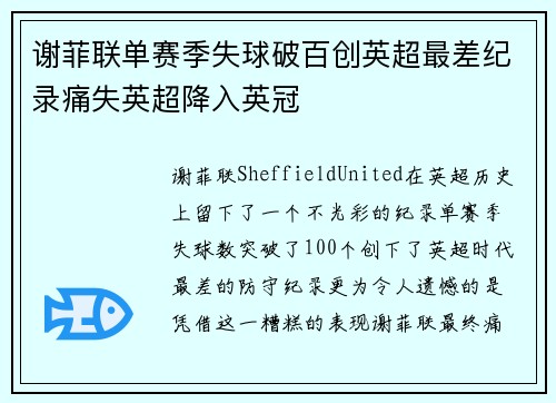 谢菲联单赛季失球破百创英超最差纪录痛失英超降入英冠 谢菲联单赛季失球破百创英超最差纪录痛失英超降入英冠