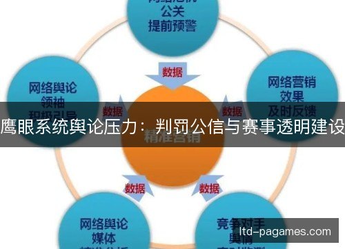 鹰眼系统舆论压力：判罚公信与赛事透明建设